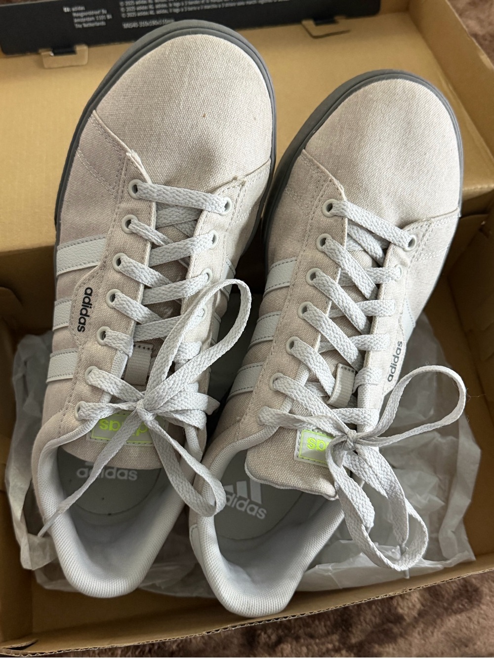 Adidas Daily 3.0
